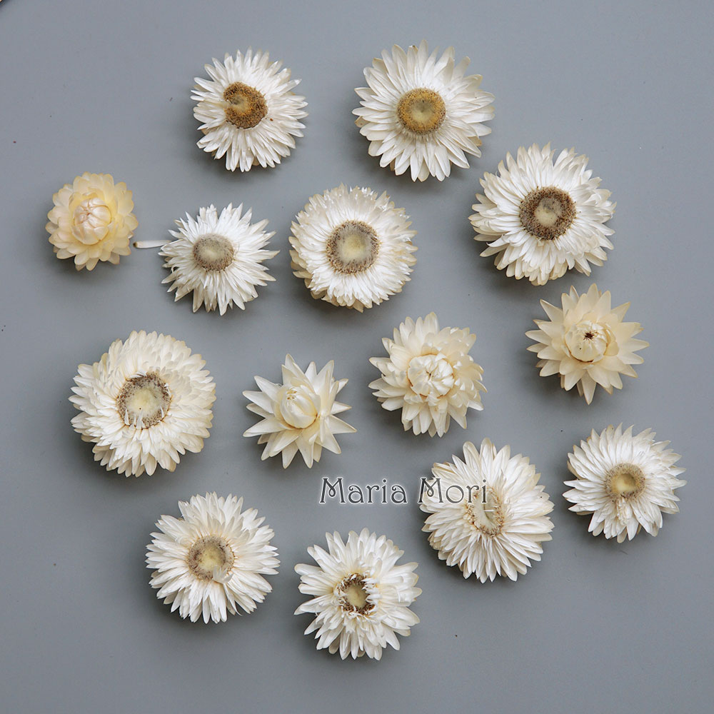 Baby Products - 天然のドライでカラフルな菊の花輪,手作りのヘアアクセサリー,樹脂製品,アロマテラピーキャンドル