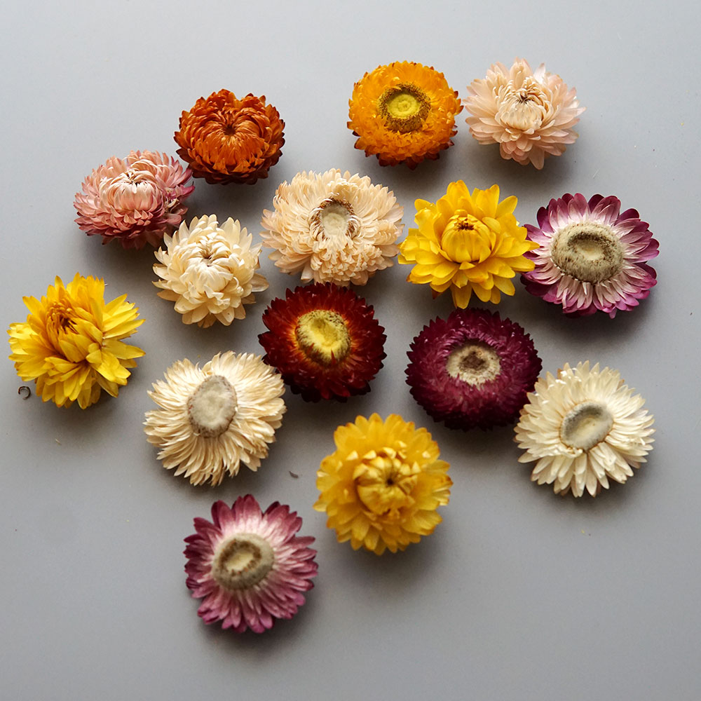 天然のドライでカラフルな菊の花輪,手作りのヘアアクセサリー, - Baby Products のレビューと価格