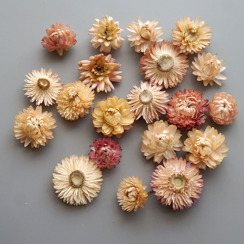 天然のドライでカラフルな菊の花輪,手作りのヘアアクセサリー, - Baby Products のレビューと価格